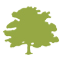 feature tree icon